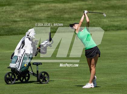 Thumbnail 3 in State Preview photogallery.