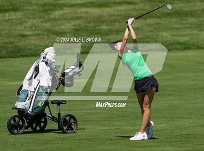 Thumbnail 2 in State Preview photogallery.