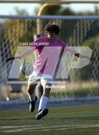 Photo from the gallery "Timberline @ Meridian"