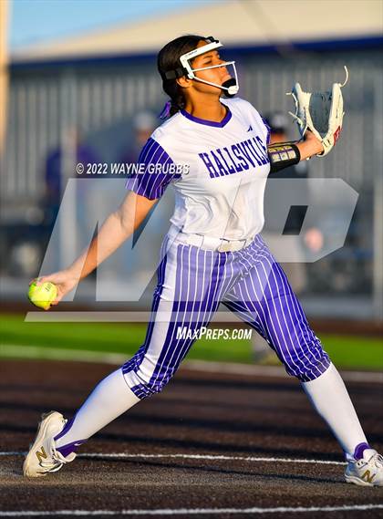 Thumbnail 3 in Longview @ Hallsville  photogallery.
