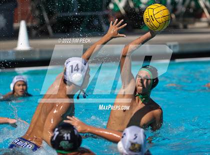 Thumbnail 1 in Marina @ Costa Mesa photogallery.