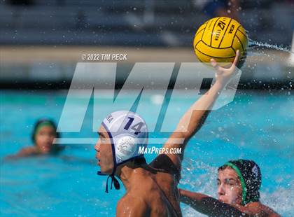 Thumbnail 2 in Marina @ Costa Mesa photogallery.
