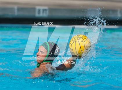 Thumbnail 1 in Marina @ Costa Mesa photogallery.