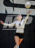 Photo from the gallery "Bonham @ Howe"