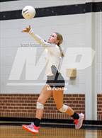Photo from the gallery "Bonham @ Howe"