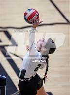 Photo from the gallery "Bonham @ Howe"