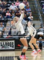 Photo from the gallery "Bonham @ Howe"