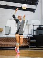 Photo from the gallery "Bonham @ Howe"
