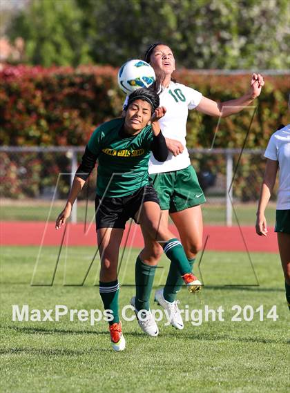 Thumbnail 1 in Franklin vs. Tracy (Vern Gebhardt Cup) photogallery.