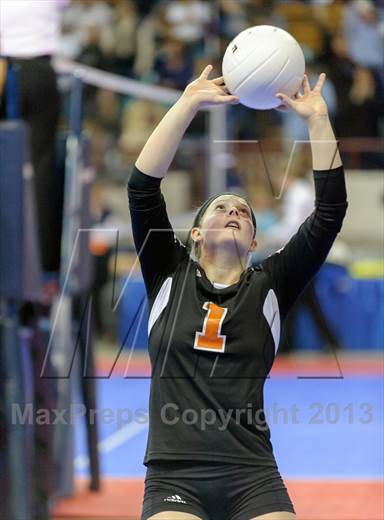 null - Photo 01