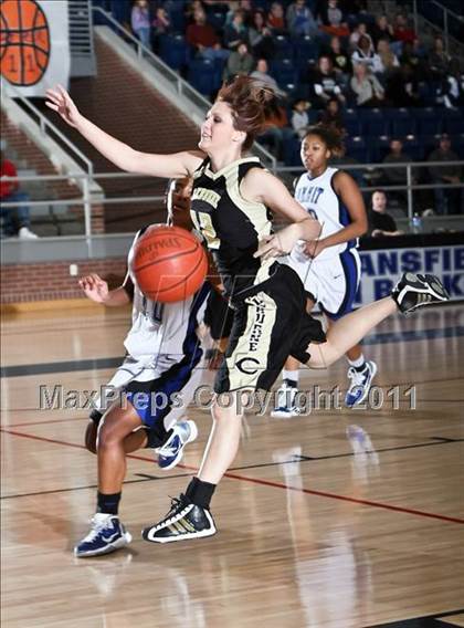 Thumbnail 3 in Cleburne @ Mansfield Summit photogallery.