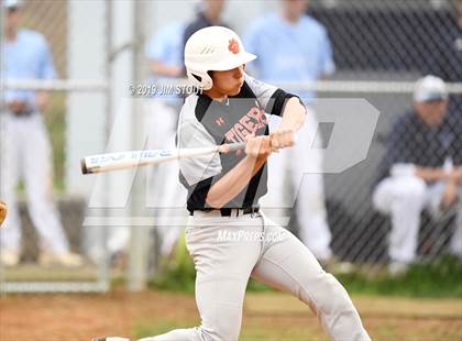 Thumbnail 2 in White Plains @ John Jay-East Fishkill photogallery.