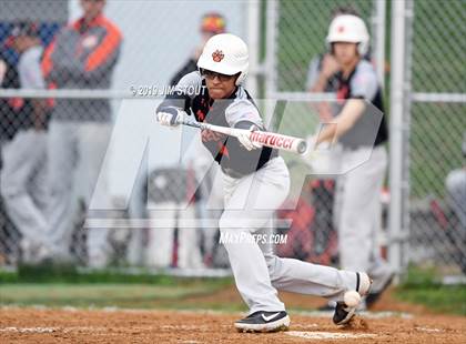 Thumbnail 2 in White Plains @ John Jay-East Fishkill photogallery.