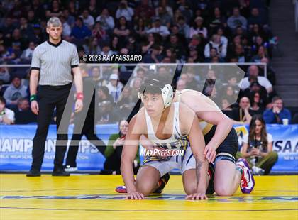 Thumbnail 3 in NYSPHSAA Wrestling Championships Finals 102 lbs - 126 lbs photogallery.