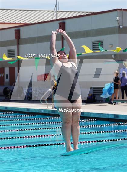 Thumbnail 2 in Leland @ Sobrato (Diving) photogallery.