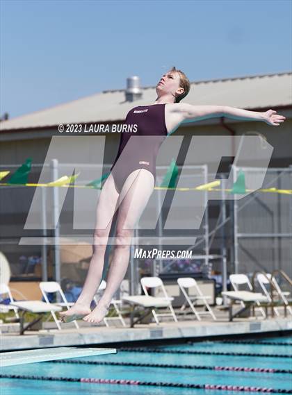 Thumbnail 2 in Leland @ Sobrato (Diving) photogallery.