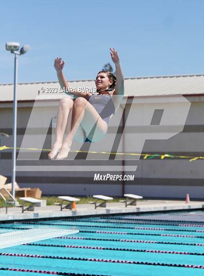 Thumbnail 1 in Leland @ Sobrato (Diving) photogallery.