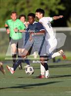 Photo from the gallery "Borah @ Meridian"