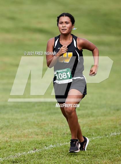 Thumbnail 1 in Herndon vs Langley (Monroe Parker Invitational) photogallery.