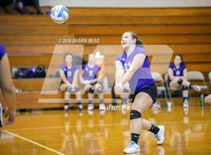 Thumbnail 3 in Lake Michigan Catholic @ Lawrence photogallery.