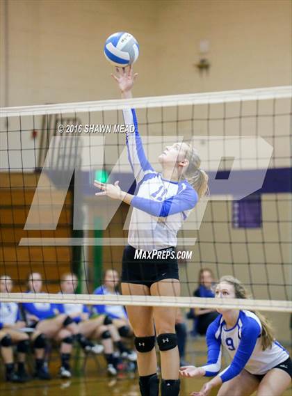 Thumbnail 2 in Lake Michigan Catholic @ Lawrence photogallery.