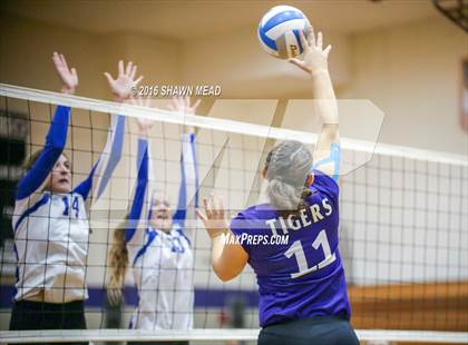 Thumbnail 3 in Lake Michigan Catholic @ Lawrence photogallery.