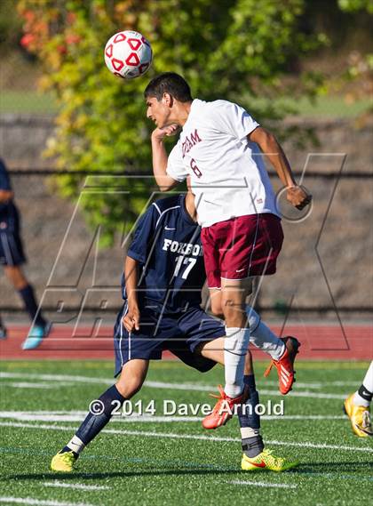 Thumbnail 3 in Foxborough @ Dedham photogallery.