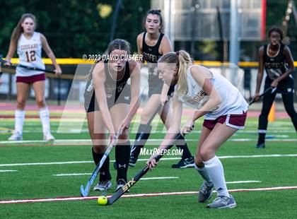 Thumbnail 3 in Westfield @ Oakton photogallery.