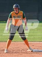 Photo from the gallery "Terry Sanford @ Pine Forest"