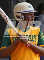 Photo from the gallery "Terry Sanford @ Pine Forest"