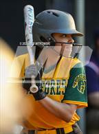 Photo from the gallery "Terry Sanford @ Pine Forest"