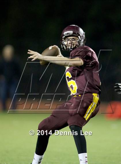 Thumbnail 1 in Mt. Diablo vs. Las Lomas (CIF NCS D3 Playoffs) photogallery.