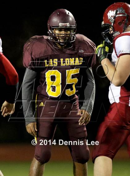 Thumbnail 1 in Mt. Diablo vs. Las Lomas (CIF NCS D3 Playoffs) photogallery.