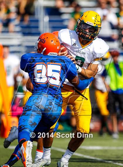 Thumbnail 3 in Live Oak @ Santa Teresa photogallery.