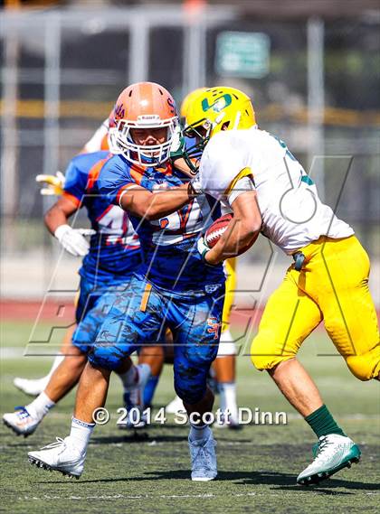 Thumbnail 1 in Live Oak @ Santa Teresa photogallery.
