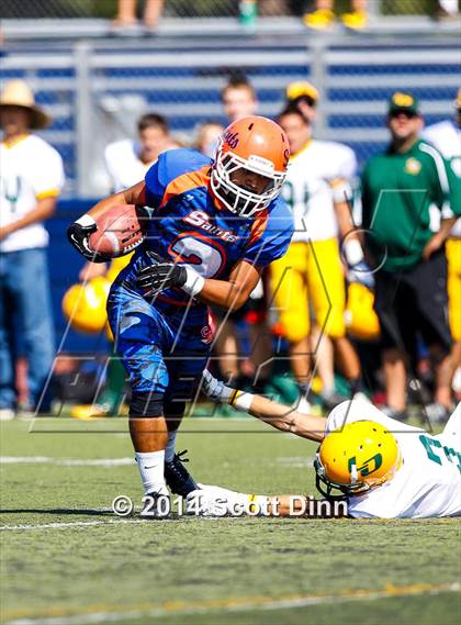 Thumbnail 1 in Live Oak @ Santa Teresa photogallery.