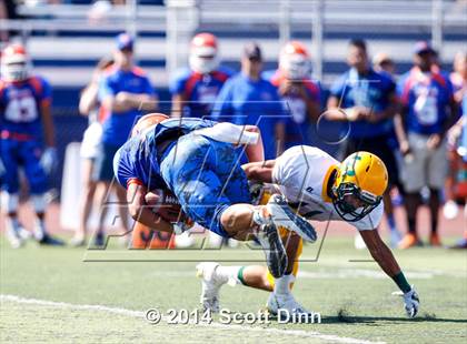 Thumbnail 3 in Live Oak @ Santa Teresa photogallery.