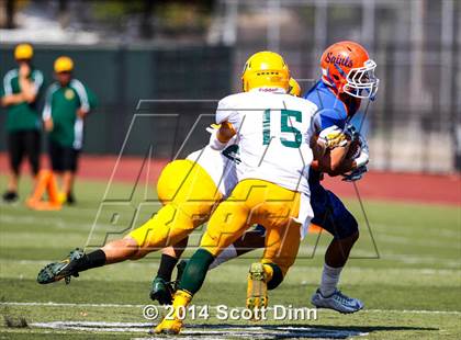 Thumbnail 3 in Live Oak @ Santa Teresa photogallery.