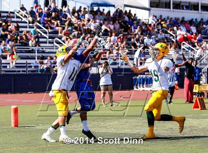 Thumbnail 3 in Live Oak @ Santa Teresa photogallery.