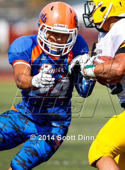 Thumbnail 3 in Live Oak @ Santa Teresa photogallery.
