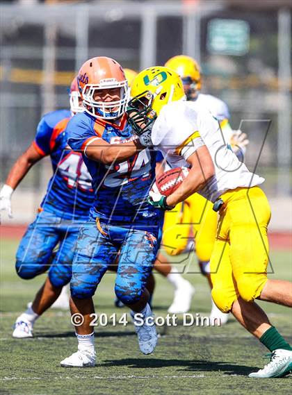 Thumbnail 2 in Live Oak @ Santa Teresa photogallery.
