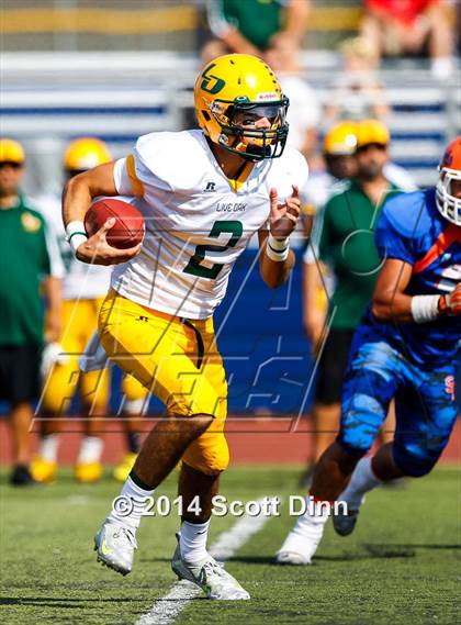 Thumbnail 1 in Live Oak @ Santa Teresa photogallery.
