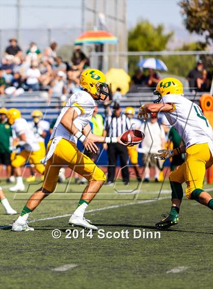 Thumbnail 3 in Live Oak @ Santa Teresa photogallery.