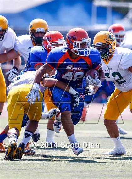 Thumbnail 3 in Live Oak @ Santa Teresa photogallery.