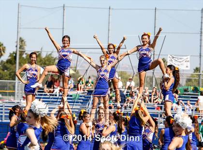 Thumbnail 3 in Live Oak @ Santa Teresa photogallery.