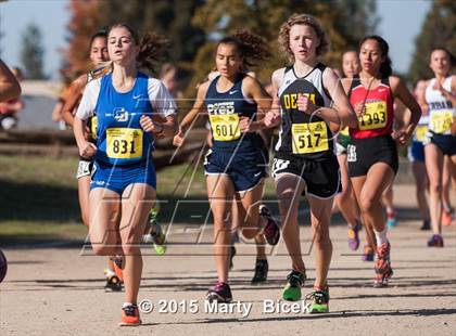 Thumbnail 2 in CIF Cross Country Championships (D5 Girls Race) photogallery.