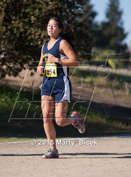 Thumbnail 2 in CIF Cross Country Championships (D5 Girls Race) photogallery.