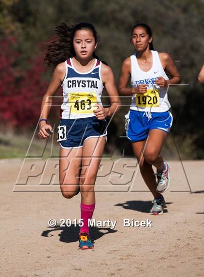 Thumbnail 1 in CIF Cross Country Championships (D5 Girls Race) photogallery.