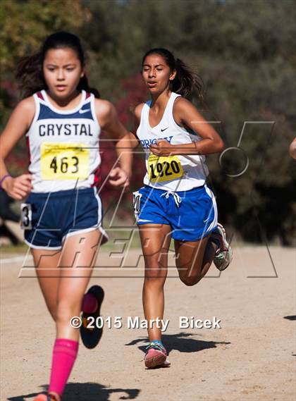 Thumbnail 2 in CIF Cross Country Championships (D5 Girls Race) photogallery.