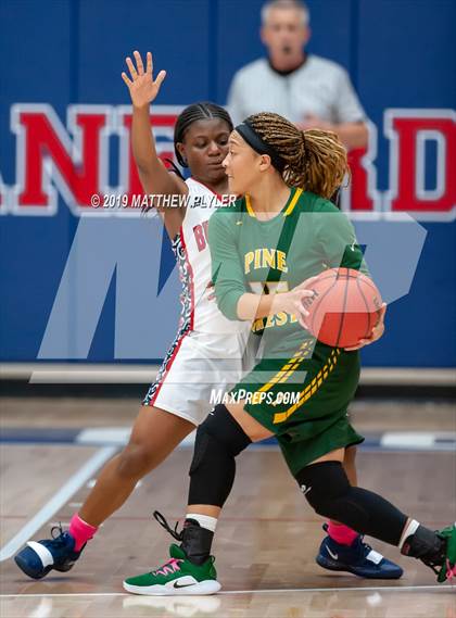 Thumbnail 1 in Pine Forest @ Terry Sanford photogallery.